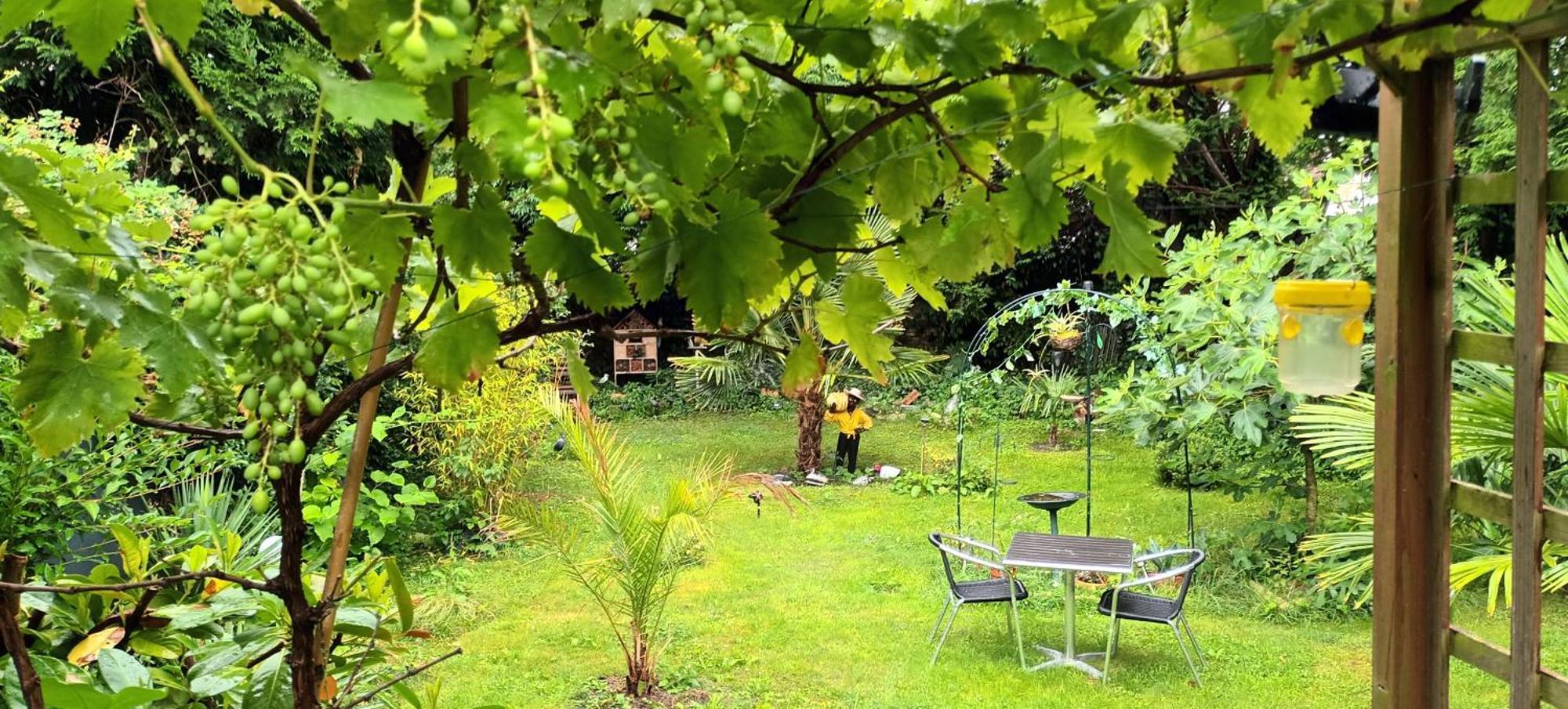 Gite Du Jardin Secret Saint-Valéry-sur-Somme Exterior foto